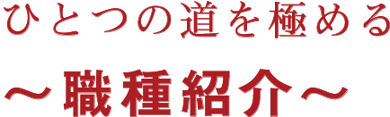 ひとつの道を極める〜職種紹介〜